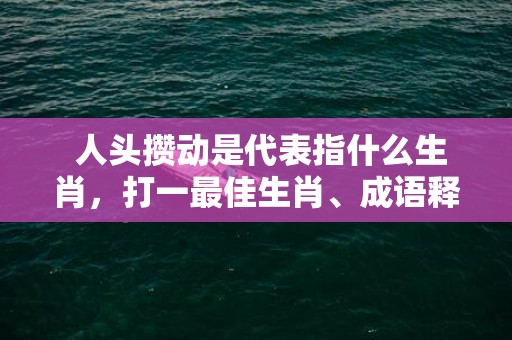  人头攒动是代表指什么生肖，打一最佳生肖、成语释义解释落实