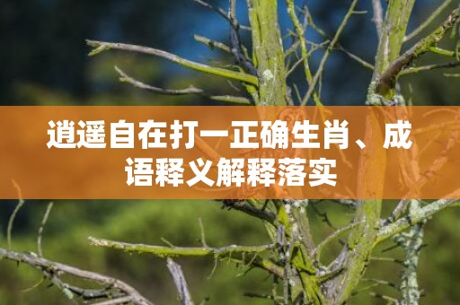 逍遥自在打一正确生肖、成语释义解释落实