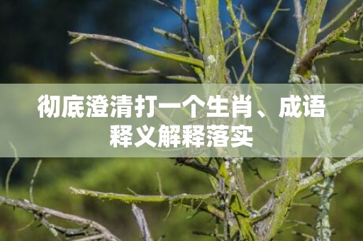 彻底澄清打一个生肖、成语释义解释落实