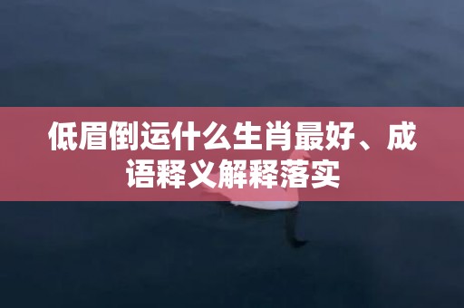 低眉倒运什么生肖最好、成语释义解释落实