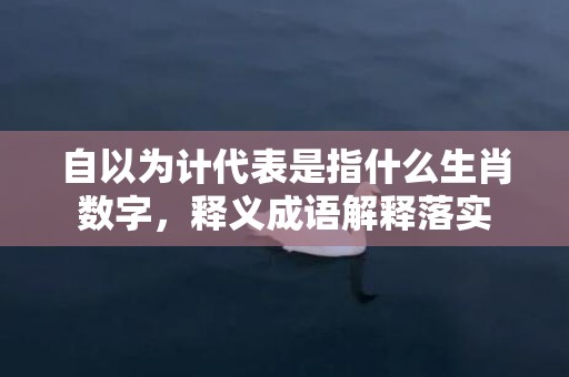 自以为计代表是指什么生肖数字，释义成语解释落实插图