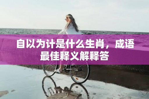 自以为计是什么生肖，成语最佳释义解释答