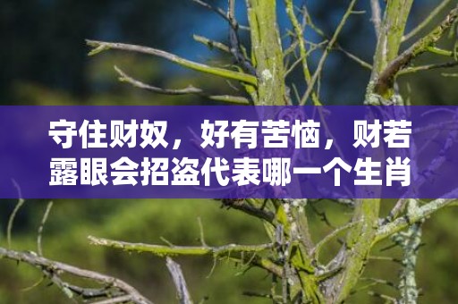 守住财奴，好有苦恼，财若露眼会招盗代表哪一个生肖，成语最佳释义解释答