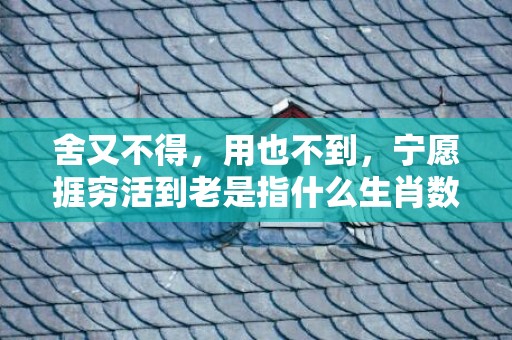 舍又不得，用也不到，宁愿捱穷活到老是指什么生肖数字，成语最佳释义解释答