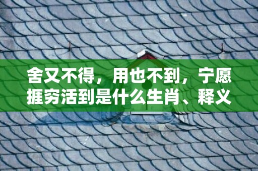 舍又不得，用也不到，宁愿捱穷活到是什么生肖、释义成语解释落实