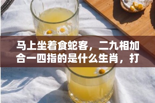 马上坐着食蛇客，二九相加合一四指的是什么生肖，打一最佳生肖数字，成语最佳释义解释答