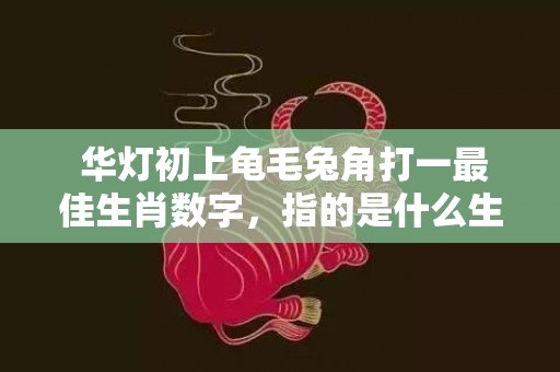 华灯初上龟毛兔角打一最佳生肖数字，指的是什么生肖，成语最佳释义解释答插图