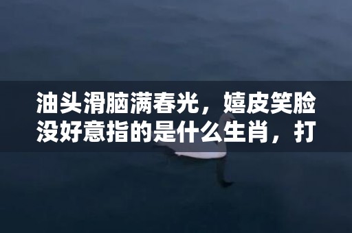 油头滑脑满春光，嬉皮笑脸没好意指的是什么生肖，打一最佳生肖数字，成语最佳释义解释答插图