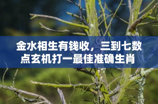 金水相生有钱收，三到七数点玄机打一最佳准确生肖 成语最佳释义解释答插图