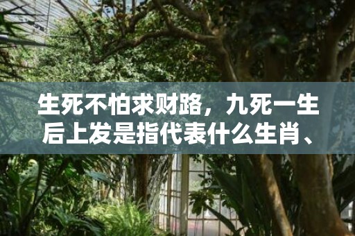 生死不怕求财路，九死一生后上发是指代表什么生肖、释义成语解释落实