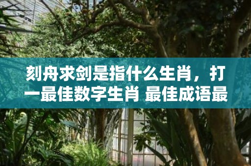 刻舟求剑是指什么生肖，打一最佳数字生肖 最佳成语最佳释义解释答