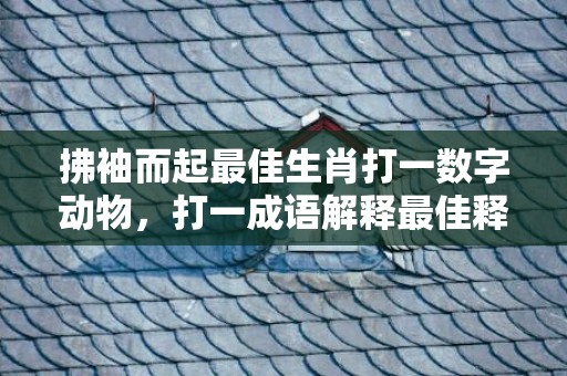 拂袖而起最佳生肖打一数字动物，打一成语解释最佳释义答