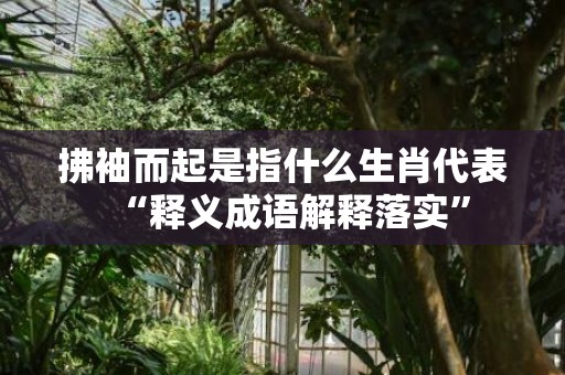 拂袖而起是指什么生肖代表“释义成语解释落实”