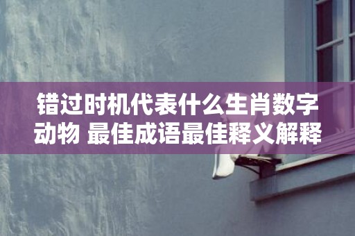 错过时机代表什么生肖数字动物 最佳成语最佳释义解释答