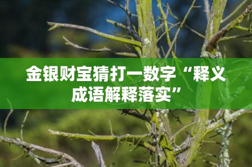 金银财宝猜打一数字“释义成语解释落实”