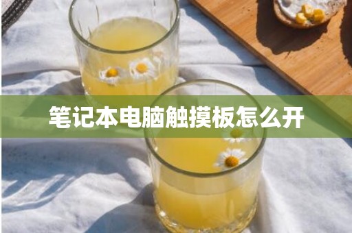 笔记本电脑触摸板怎么开