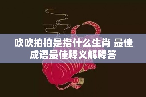 吹吹拍拍是指什么生肖 最佳成语最佳释义解释答插图