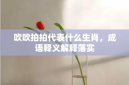 吹吹拍拍代表什么生肖，成语释义解释落实插图