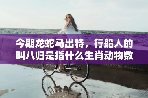 今期龙蛇马出特，行船人的叫八归是指什么生肖动物数字，成语释义解释落实答插图