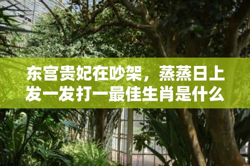 东宫贵妃在吵架，蒸蒸日上发一发打一最佳生肖是什么动物 最佳成语最佳释义解释答插图