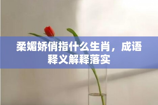 柔媚娇俏指什么生肖，成语释义解释落实