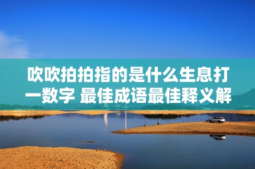 吹吹拍拍指的是什么生息打一数字 最佳成语最佳释义解释答