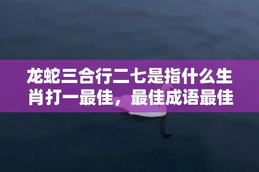 龙蛇三合行二七是指什么生肖打一最佳，最佳成语最佳释义解释答