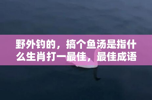 野外钓的，搞个鱼汤是指什么生肖打一最佳，最佳成语最佳释义解释答