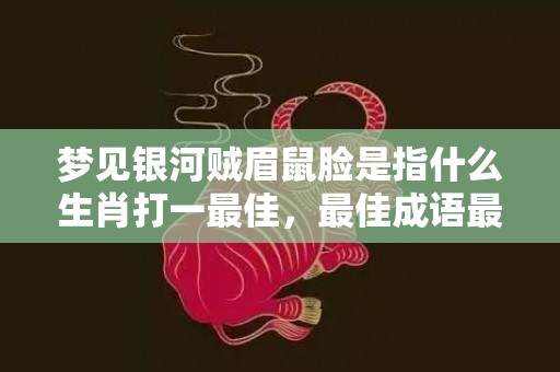 梦见银河贼眉鼠脸是指什么生肖打一最佳，最佳成语最佳释义解释答