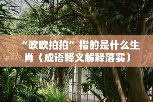 “吹吹拍拍”指的是什么生肖（成语释义解释落实）