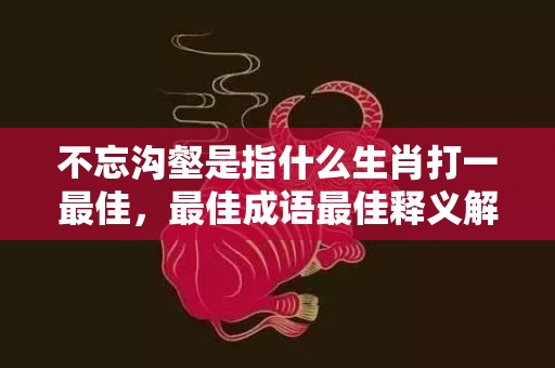 不忘沟壑是指什么生肖打一最佳，最佳成语最佳释义解释答