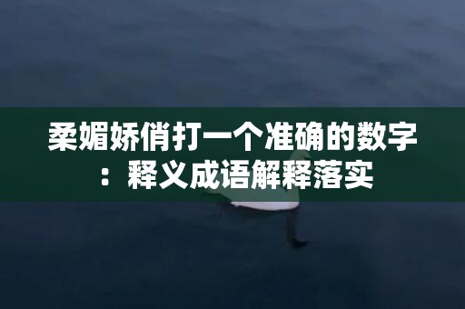 柔媚娇俏打一个准确的数字：释义成语解释落实