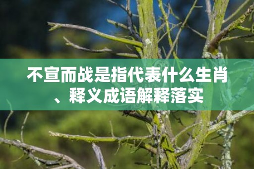 不宣而战是指代表什么生肖、释义成语解释落实插图