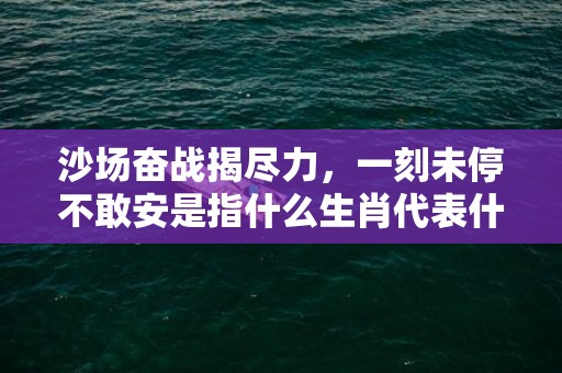 沙场奋战揭尽力，一刻未停不敢安是指什么生肖代表什么数字动物，释义成语解释落实