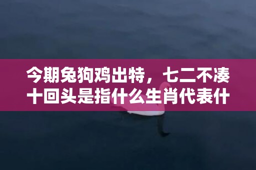 今期兔狗鸡出特，七二不凑十回头是指什么生肖代表什么数字动物，释义成语解释落实