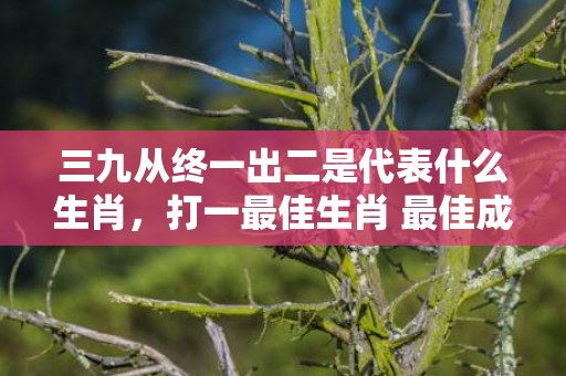 三九从终一出二是代表什么生肖，打一最佳生肖 最佳成语最佳释义解释答、成语解释落实