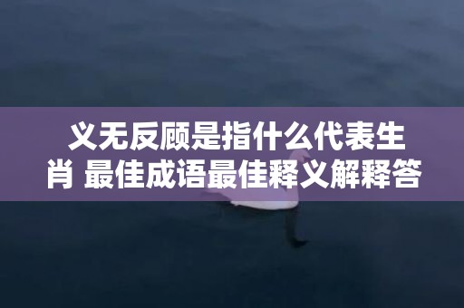 义无反顾是指什么代表生肖 最佳成语最佳释义解释答插图