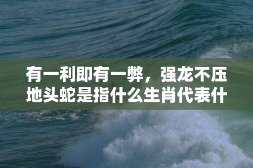 有一利即有一弊，强龙不压地头蛇是指什么生肖代表什么数字释义成语解释落实