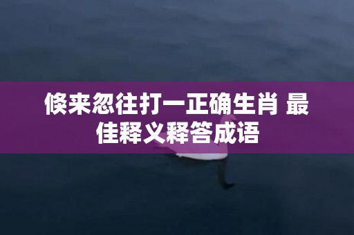 倏来忽往打一正确生肖 最佳释义释答成语插图