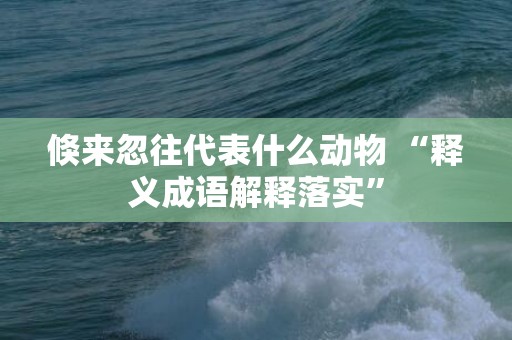 倏来忽往代表什么动物 “释义成语解释落实”插图