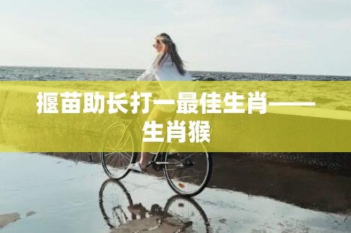 揠苗助长打一最佳生肖——生肖猴