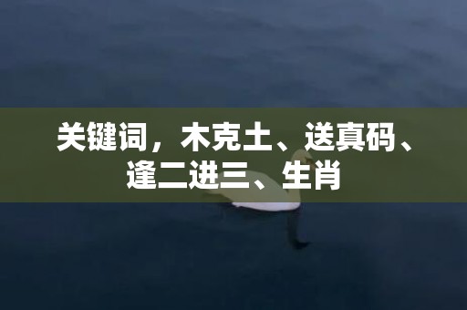 关键词，木克土、送真码、逢二进三、生肖