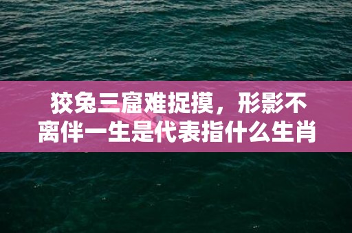  狡兔三窟难捉摸，形影不离伴一生是代表指什么生肖，打一最佳生肖，词语解答落实释义