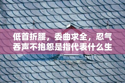 低首折腰，委曲求全，忍气吞声不抱怨是指代表什么生肖，释义成语解释落实