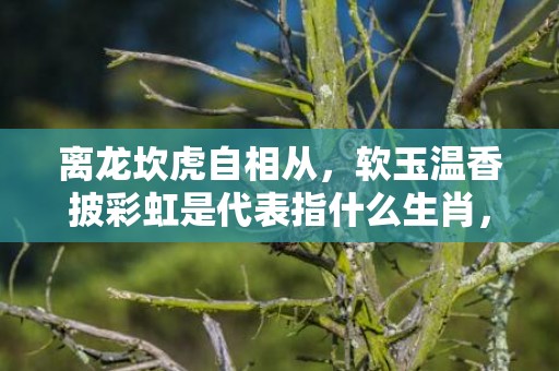 离龙坎虎自相从，软玉温香披彩虹是代表指什么生肖，打一最佳生肖，词语解答落实释义