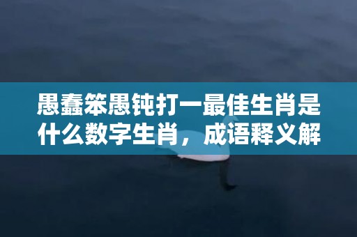 愚蠢笨愚钝打一最佳生肖是什么数字生肖，成语释义解释落实