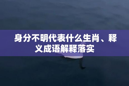 身分不明代表什么生肖、释义成语解释落实插图