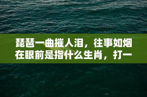 琵琶一曲摧人泪，往事如烟在眼前是指什么生肖，打一最佳生肖；成语释义解释落实