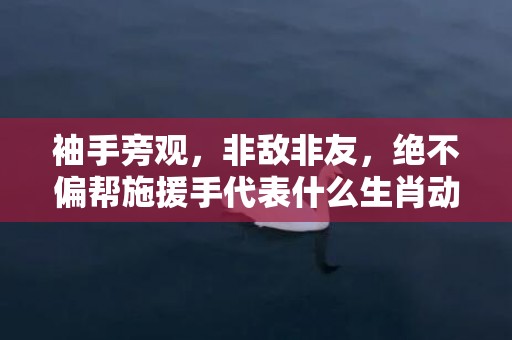 袖手旁观，非敌非友，绝不偏帮施援手代表什么生肖动物；最佳释义解释答