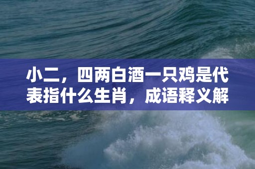 小二，四两白酒一只鸡是代表指什么生肖，成语释义解释落实